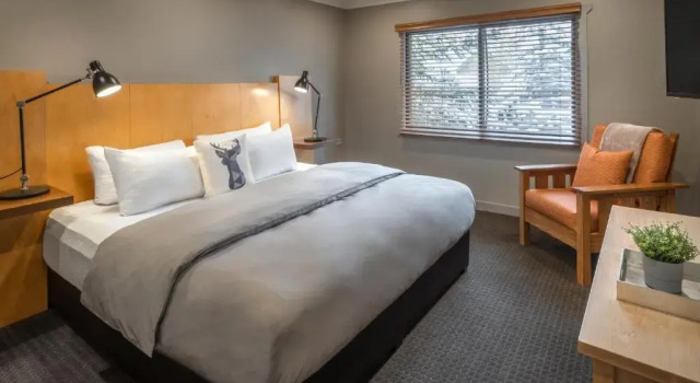 Doppel Suite Buffalo Mountain Lodge