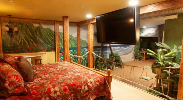 Номер Standard Destinations Inn Theme Rooms