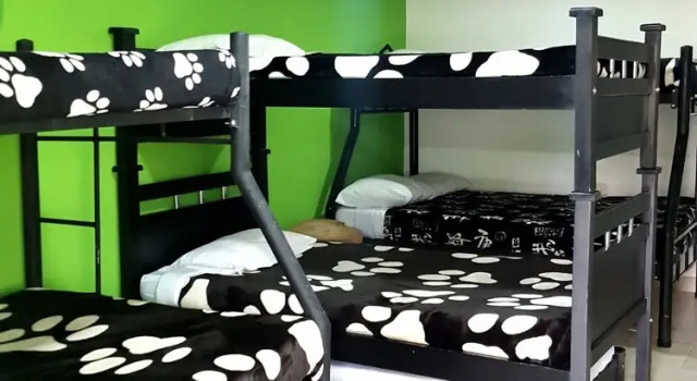 Семейный номер Standard Hostal y Camping Los Girasoles