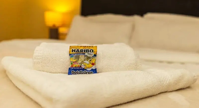 Номер Business Gasper Business & Garden Hotel