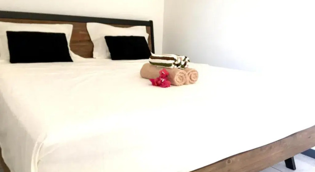 Iris suite
