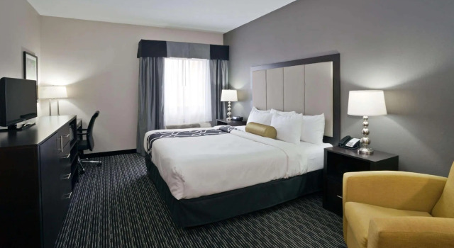 Двухместный номер Standard La Quinta Inn & Suites by Wyndham Detroit Metro Airport
