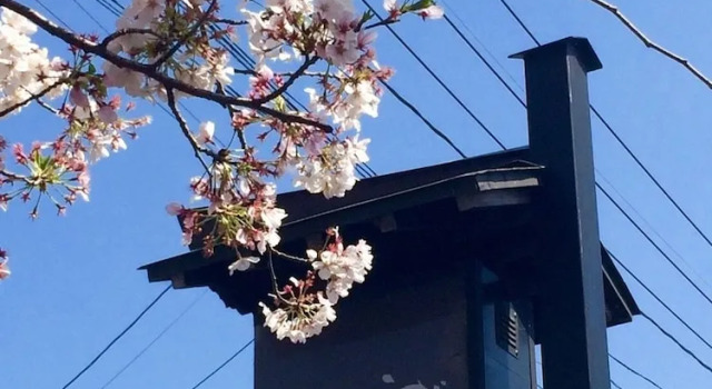 Yasuragi Guest House & Bar