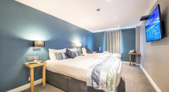 Номер Standard Dolphin Rooms