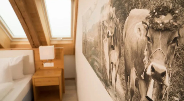 Люкс Standard Hotel Friedheim Weggis