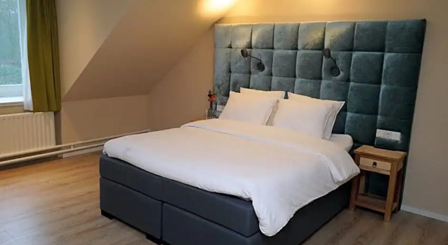 Номер Deluxe Hotel Hoevevoorde