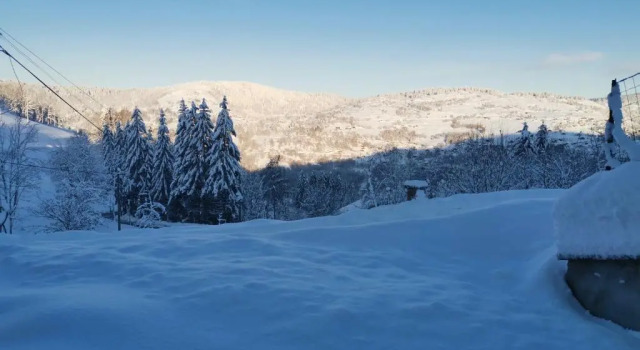 Le chalet du Brabant à 200 mètres des pistes, Забронировать Шале Коттеджи Вогезы, Коттедж