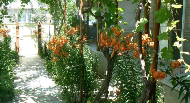 Коттедж Lake House