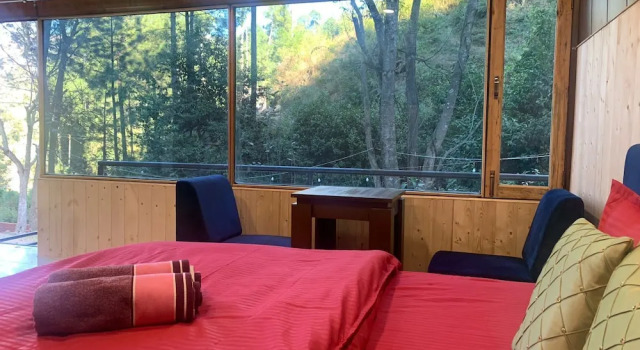 Pine Trails Jungle Camp