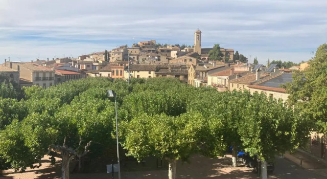 Ca l'Anyep-L'Ermita, Reserva ahora Apartamento El Vilosell Lleida