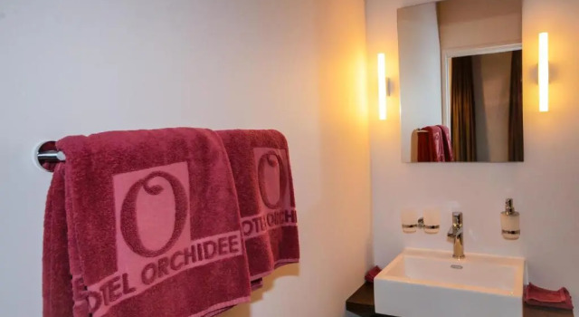 Номер Standard Boutique Hotel - Restaurant Orchidee