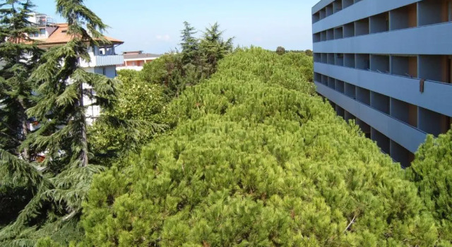Номер Standard Hotel Gran Venere Beach