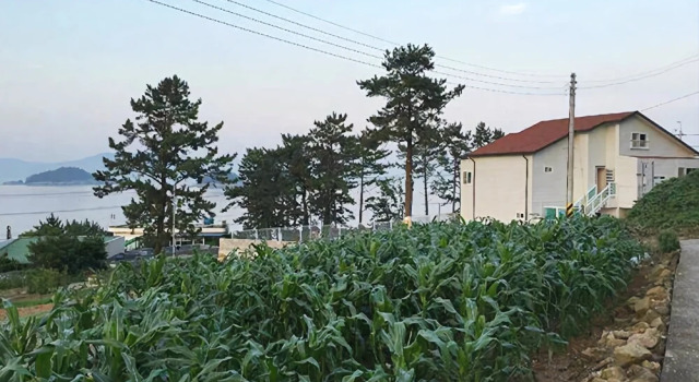 Seasidepine Pension, Reserva ahora Hotel Dolsan-eup Yeosu