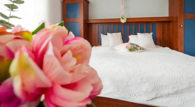 Семейный номер Standard Hotel Bonsai