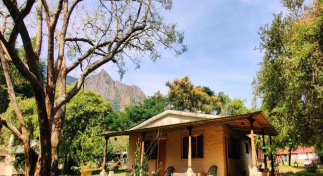 Номер Standard Jungle Hut Resort