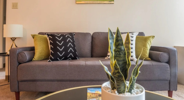 Stylish Apartments in Downtown, Book Lejlighed Lejligheder i Pennsylvania, Lejlighed