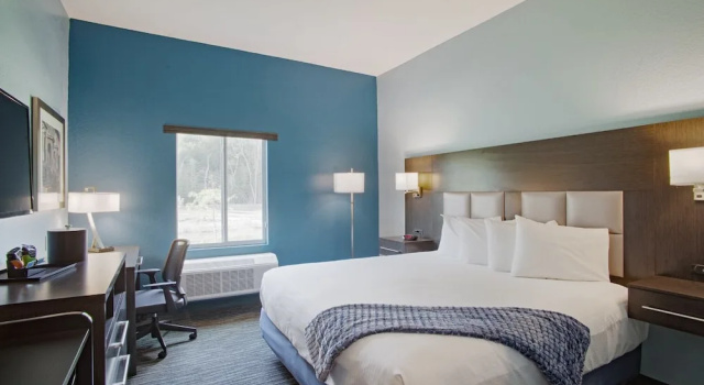 Одноместный номер Standard Iris Garden Inn