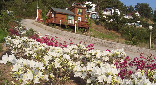 Yeongdeok Darnim Pension
