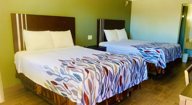 Четырёхместный номер Standard Budget Inn and Suites
