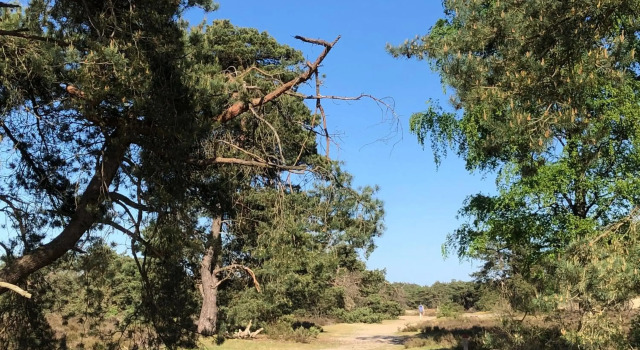 Vakantiehuisje Specht, Reserva ahora Hotel Otterlo Veluwe