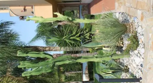 Villa Terry, Varaa Villa Reggio di Calabria Calabria