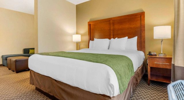 Двухместный люкс Comfort Inn & Suites Florence Center Area