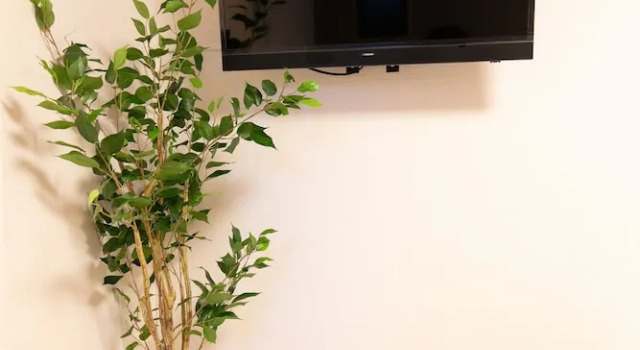 Номер Economy F Plus Inn Tofukuji