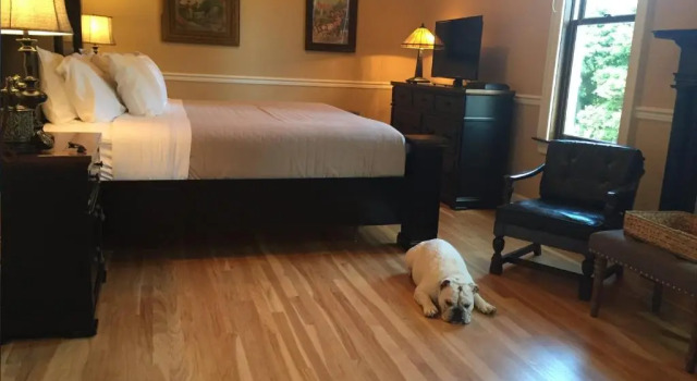 Номер Deluxe Steele Mansion Inn & Gathering Hub