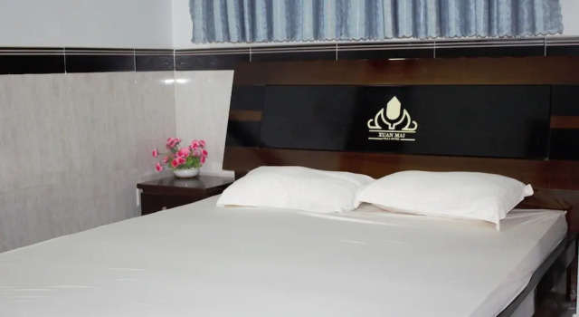Двухместный номер Standard Xuan Mai Villa