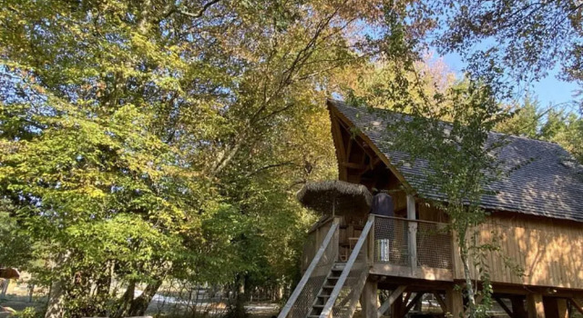 Номер Royal Ecolodge Beauregard
