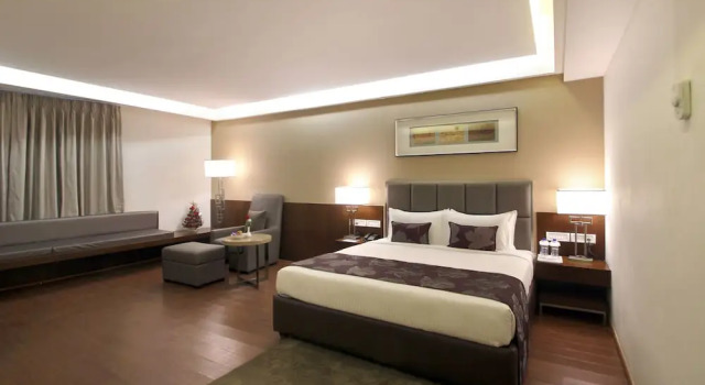 Номер Premium с видом на город Hotel Comfotel