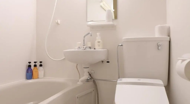 Двухместный номер Standard Osaka Teikoku Hotel