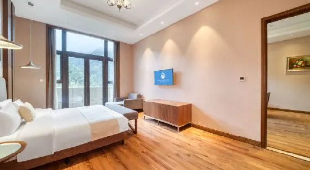 Люкс Executive Swanburg Resort Hotel