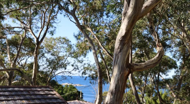 Bungalow Bicheno by the Bay