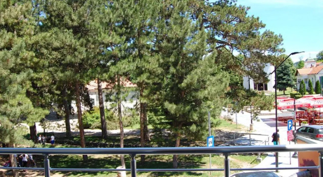 Номер Standard Guesthouse Sunny
