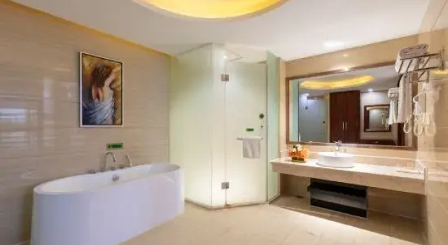 Люкс Deluxe Vienna Classic Hotel Guangzhou Yanling Road