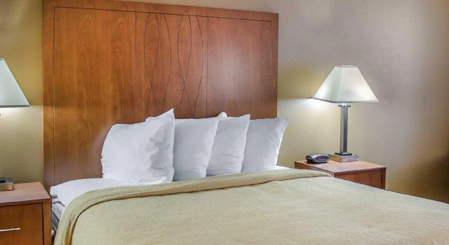 Standard Zimmer Quality Inn