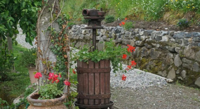 Номер Standard Agriturismo U muinettu