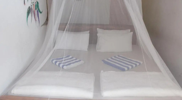 Двухместный номер Standard с видом на море Frangipani Beach Villa