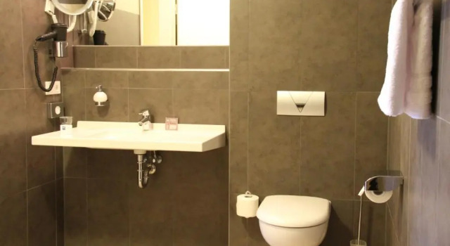 Konfor oda Altwernigeröder Apparthotel