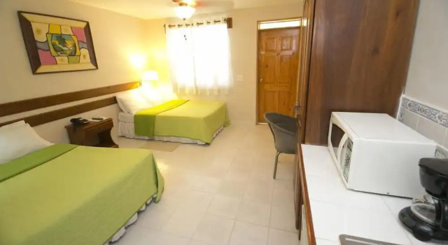 Трёхместный номер Standard Palm Inn Hotel