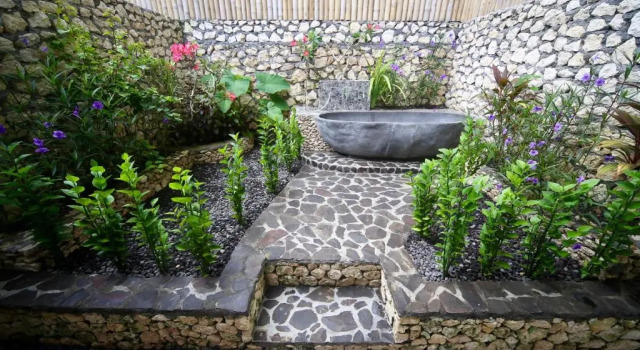 Jungle Paradise