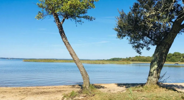 Коттедж Maisonnette a 300 M du Lac de Biscarrosse