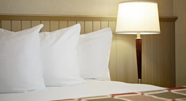 Номер Standard Charlottetown Inn & Conference Centre