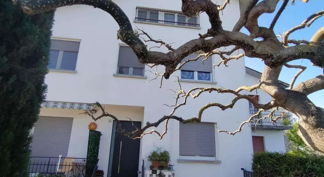 La Magnolia Fano, Rezervovat Hotel Fano 
