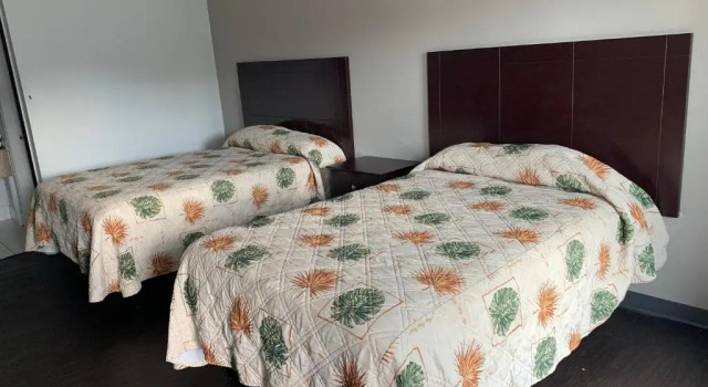 Четырёхместный номер Standard DELUXE INN augusta