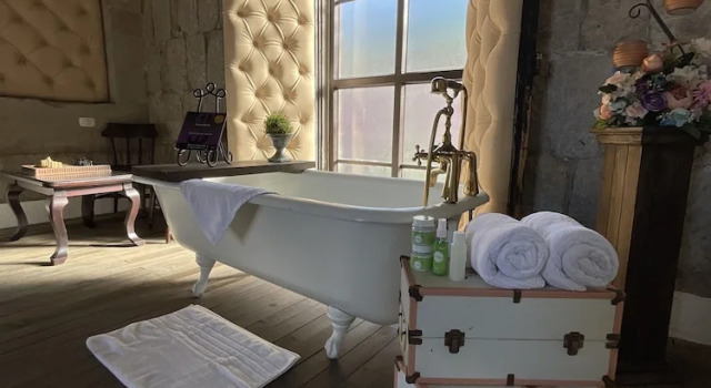 Люкс Presidential c 1 комнатой Hotel Vintage "Rialto"