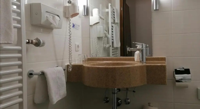 Одноместный номер Standard Flair Hotel Dobrachtal