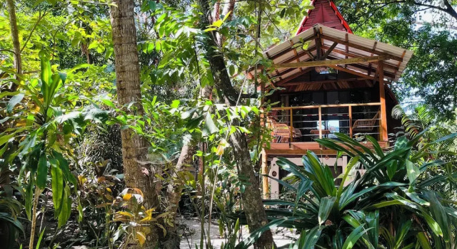Номер Superior Calala Lodge