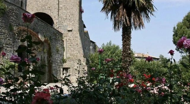 Двухместный номер Standard Nazareth Residence